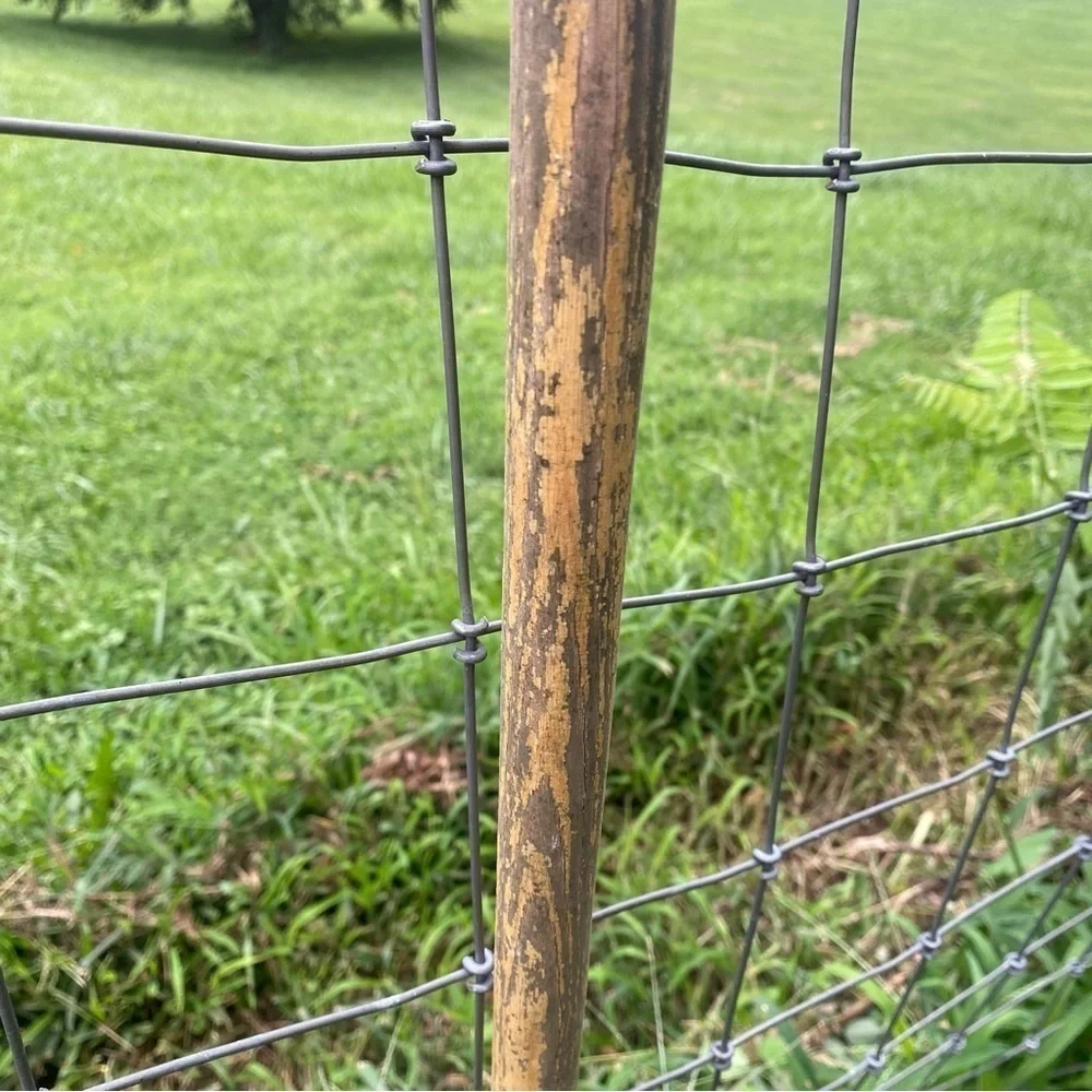 Antique Vintage Weathered Wood Cane Home Decor
